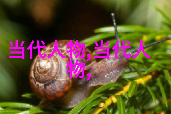 名人背后的秘密揭开成功之路的迷雾