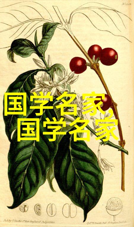 杨超越的梦境AI换脸探索自带套路的一区奇迹