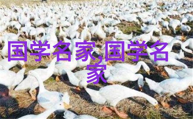 历史人物故事完整版 - 梦想与挑战辛亥革命的领袖们