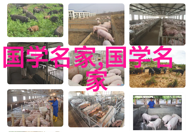 探索中国历史名人辉煌从屈原到邓稼先的智慧篇章