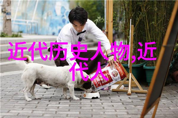中国颜值第一名女生探究其背后的文化符号与社会认同