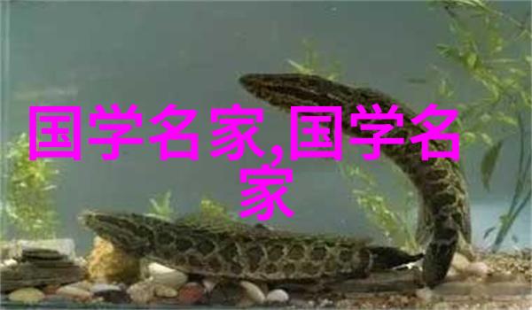 英语课代表的舞台亮相一段难忘的插曲