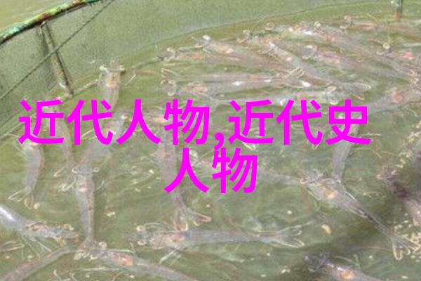 古代智者与自然的对话诸葛亮的草船借箭策略