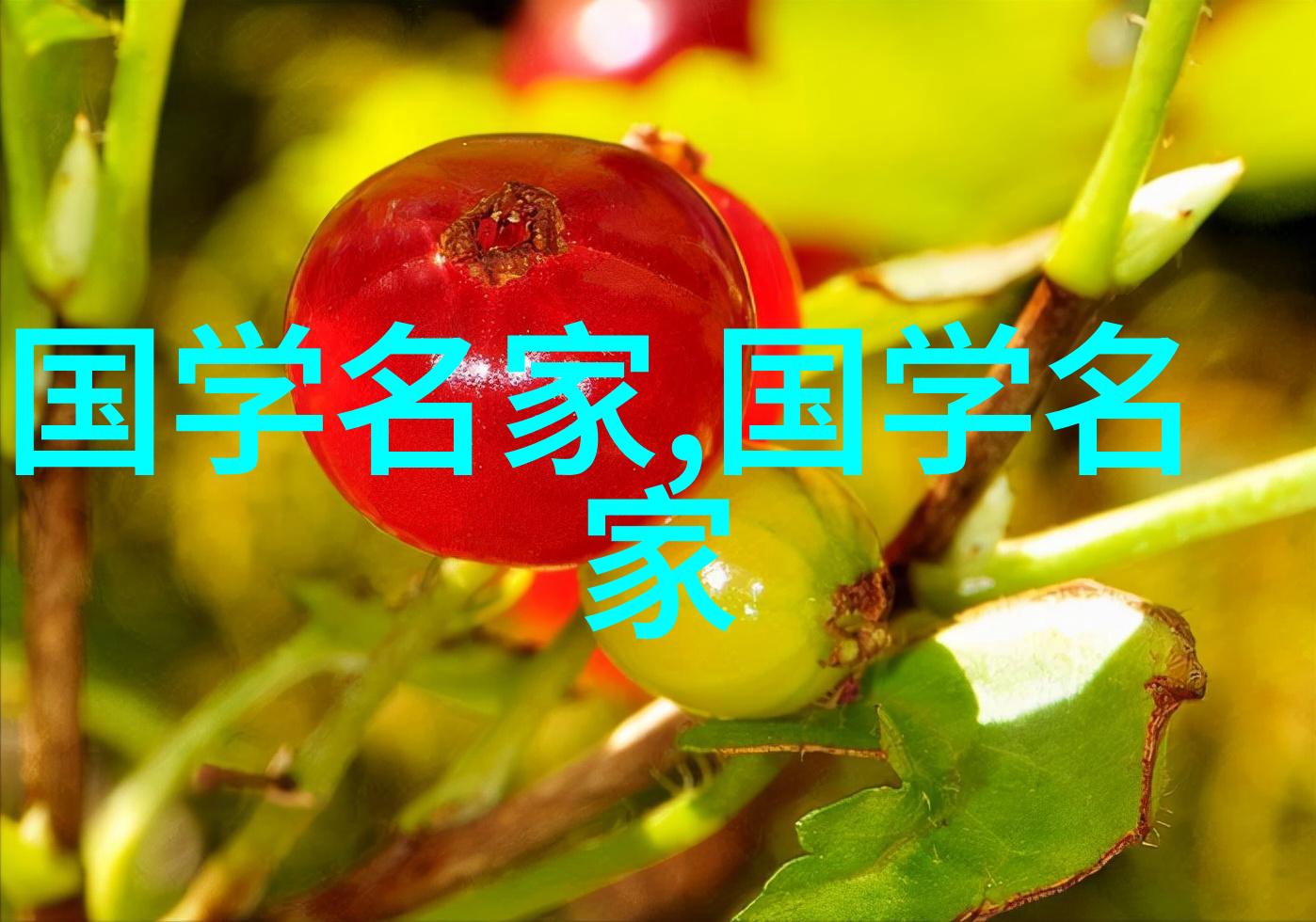 世界十大伟人排名历史人物科学家艺术家政治领袖发明家探险者教育家哲学家文化 icons