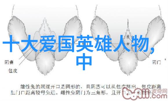 古代英杰孔子与他的弟子们