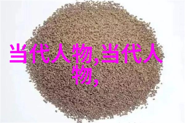 超越国界的英雄事迹印度独立运动中的甘地和尼赫鲁