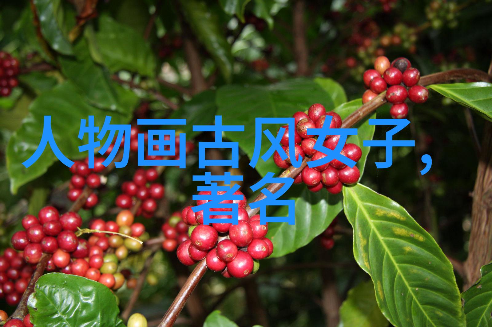 小雪的第一次尝鲜之旅粗大视频的惊喜体验