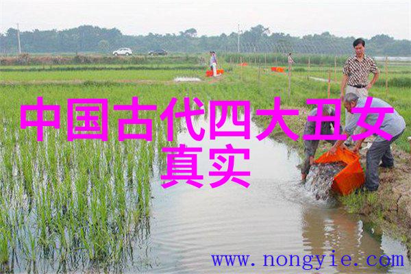 中华英杰录揭秘中国历史名人排行榜的顶尖智慧与辉煌成就