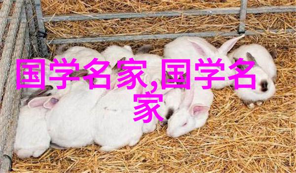 开辟新天地中国最有影响力的100位历史名人之一郑和