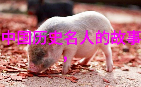 中国美男群星追溯建国后四大帅哥的风采