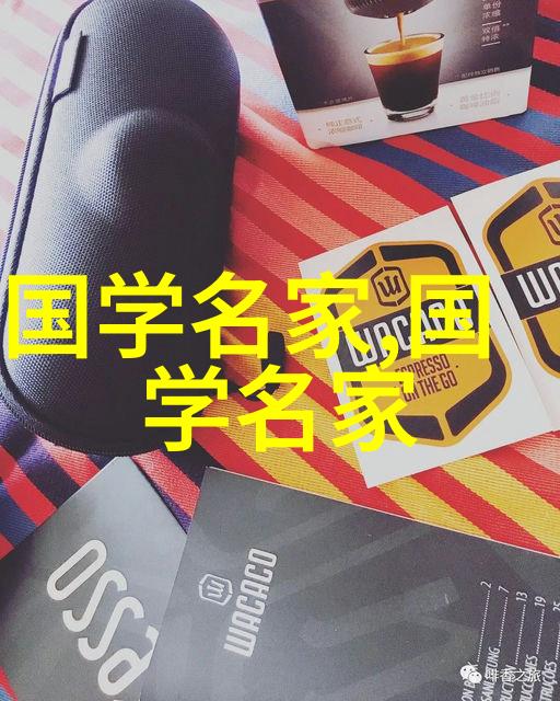 闪耀与沉默历史名人的双重篇章