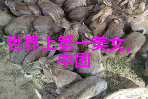 古代美女盛名录评选中国十大绝色佳人