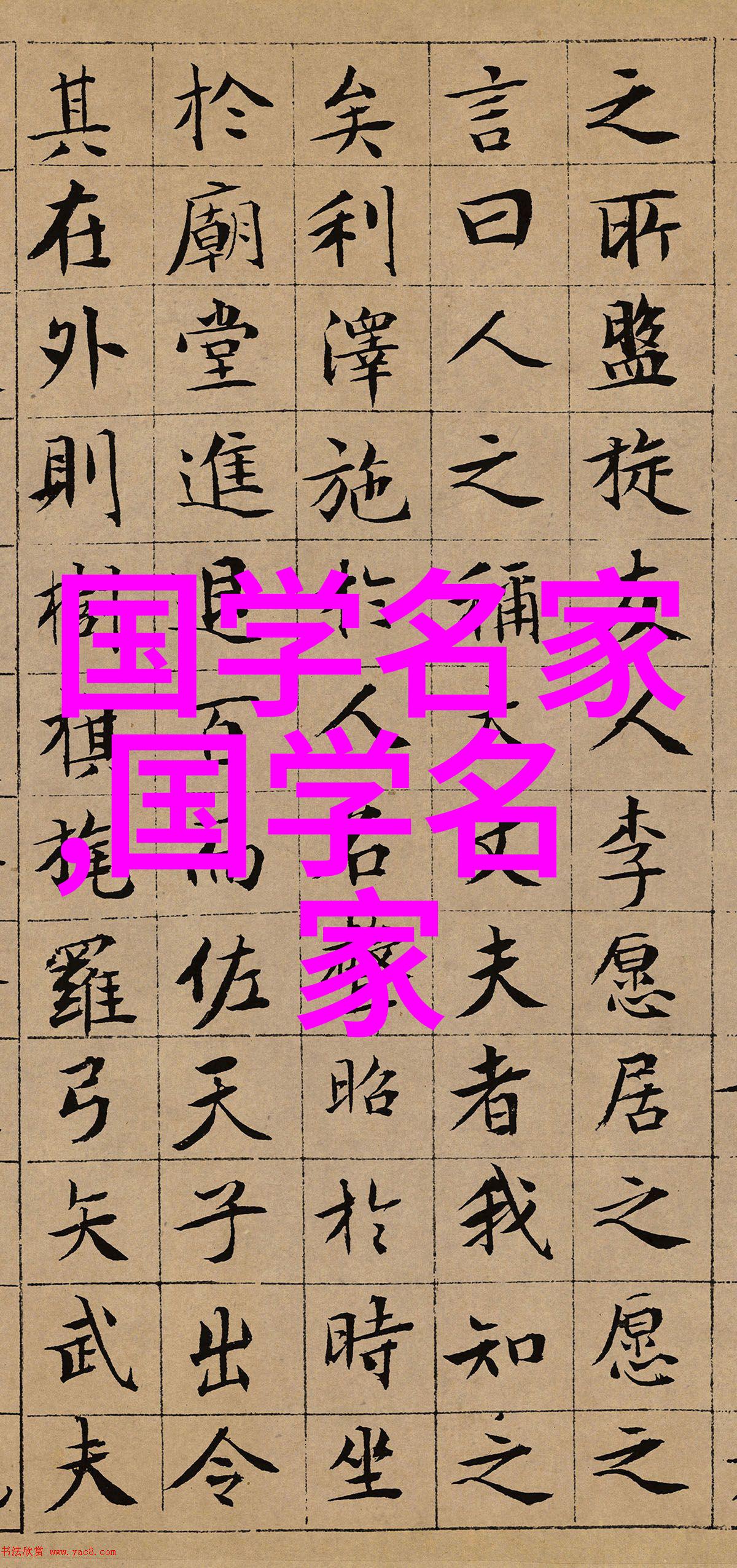 社会正义斗士他们为了什么而不懈奋斗