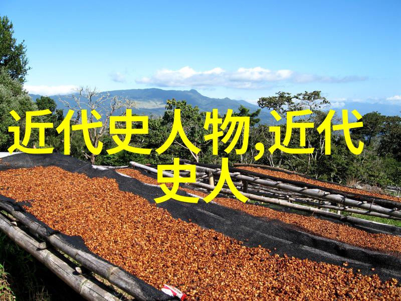家里空巢的孤独一场无声电影中的干湿与呼唤