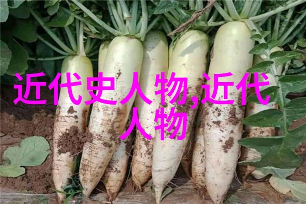 岁月中的浪人流芳百世的传奇