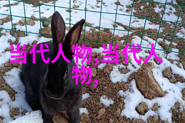 中国最伟大的名人我眼中的巨人揭秘中国最伟大的传奇
