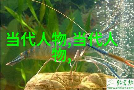 中国古代的伟人 - 唐朝诗圣李白与宋代书香才子苏轼中华文化的光辉篇章