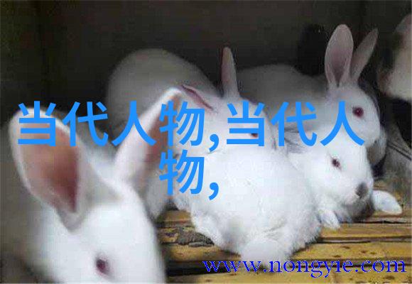 生活点滴中的视频狂欢小东西几天没做喷的都是视频