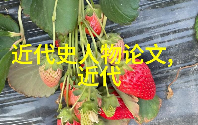 一往无前多才多艺的肉类大师与他的忠实车队