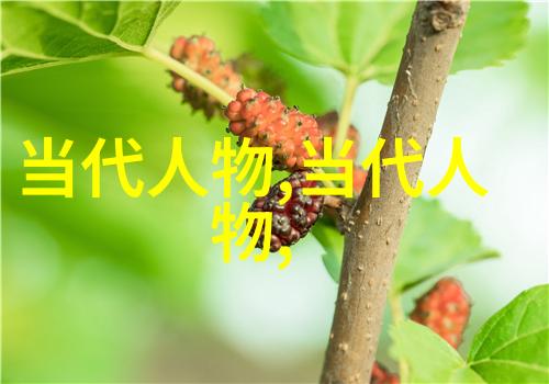 探秘中国名人录揭秘历史巨匠的故事