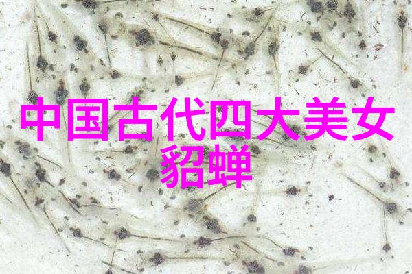 古代中国名将诸葛亮的智谋