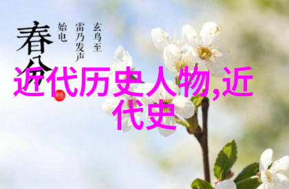麻豆精品一卡二卡三卡全套服务深度解析
