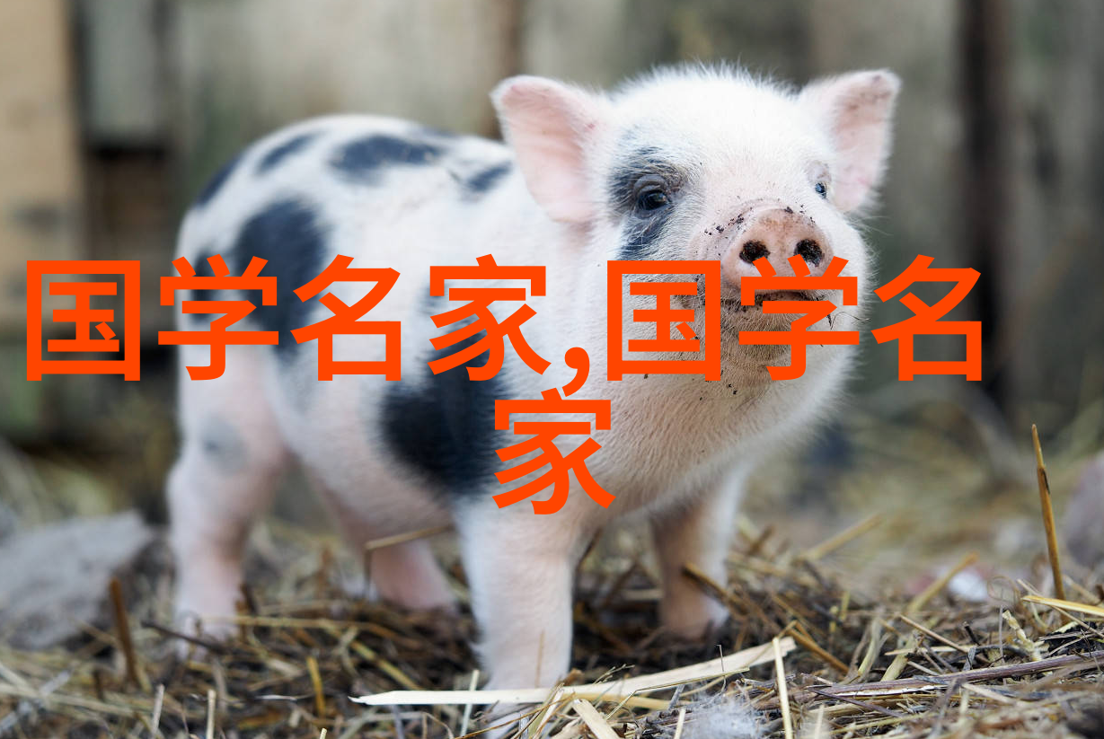 中国书法奇迹新中国教育部长的硬功夫与经典名句之美