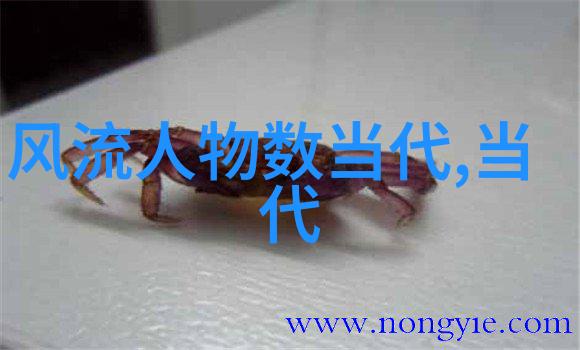 404黄台软件免费下载大禁用APP解锁隐秘的数字世界