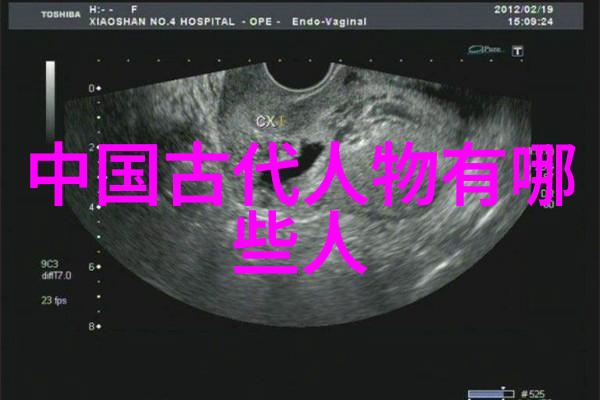 历史人物传记揭秘30位影响世界的巨星