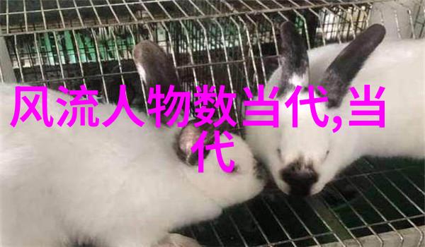 仙女棒坐着真人视频虚拟形象与真实世界的互动