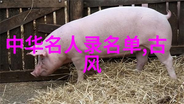 主题我眼中的中国三大顶级美人杨紫肖战与郑爽的魅力之争