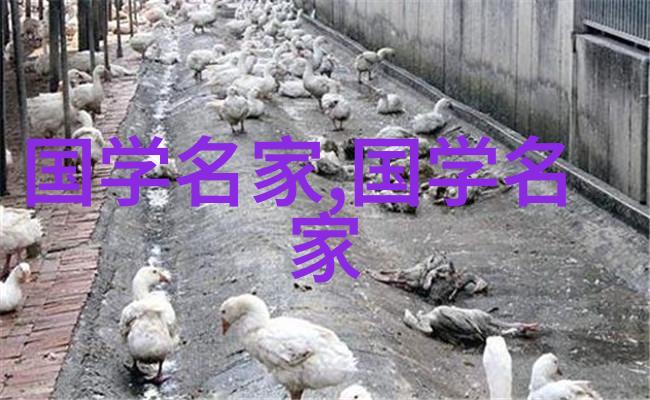璀璨美丽中国最漂亮女人第一名的光芒与魅力