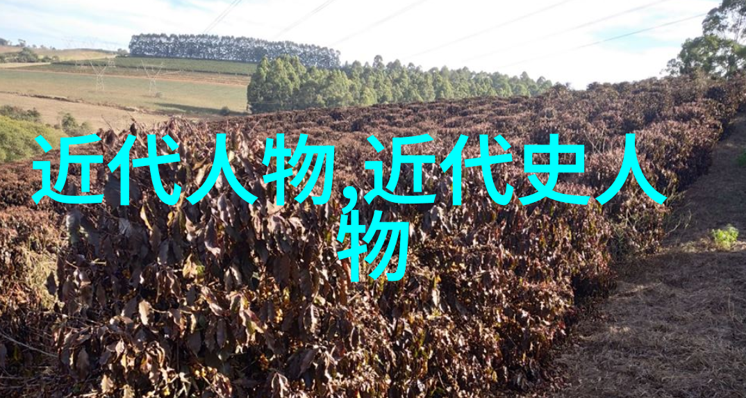 东坡的寒食帖背后历史人物的资料探秘