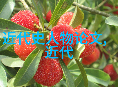 科学怪人的秘密生活爱因斯坦和他的婚外情
