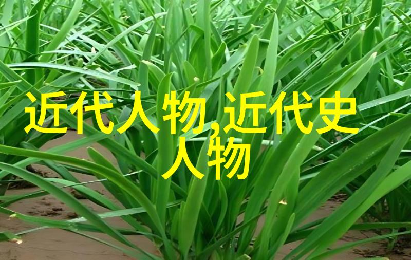 伪装夫妇爱情的化妆舞台