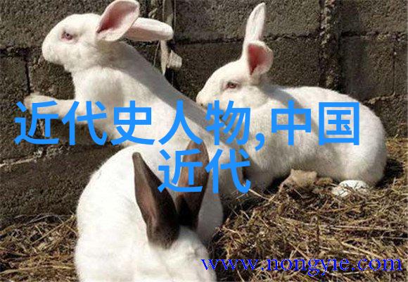做错一题就往下面放冰块我的考试生涯里的冷血策略