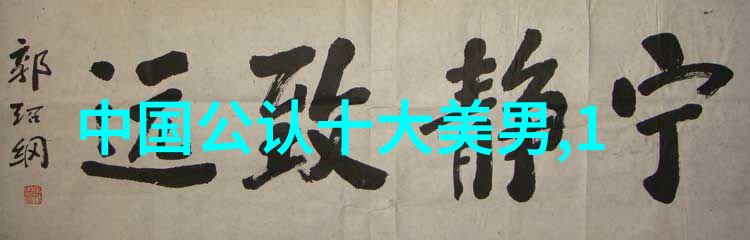 她在艺术领域创造了哪些革命性的作品