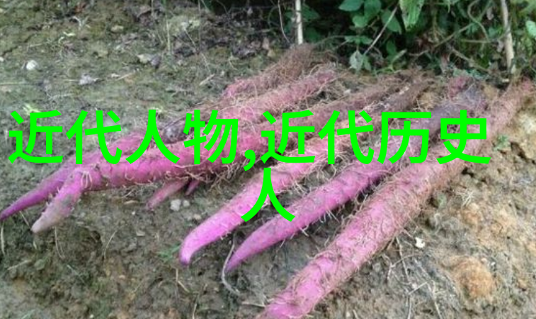 四大才女我和曹操卓文君西施的那些事