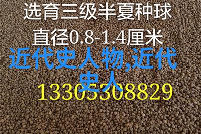 历史名人简介大全-走进时间的长廊一览众多历史名人的辉煌事迹