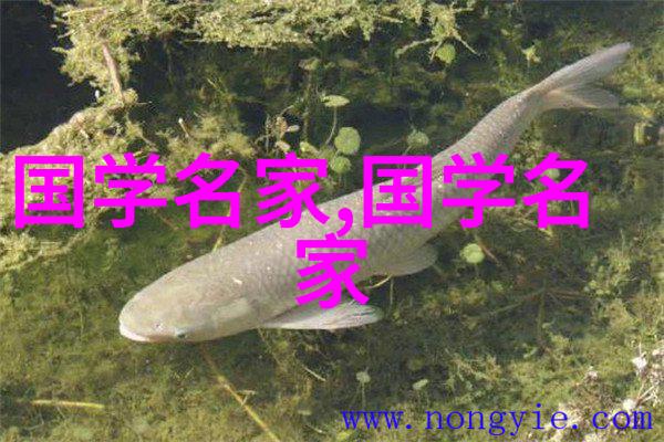 中国历史上的十位杰出人物塑造辉煌文明的巨匠