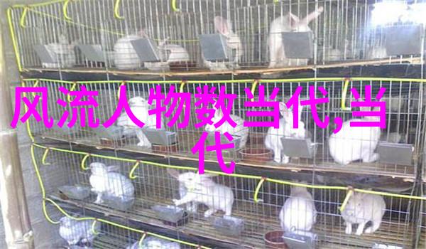 关于历史人物的资料揭秘那些我们熟知但不够了解的人物故事