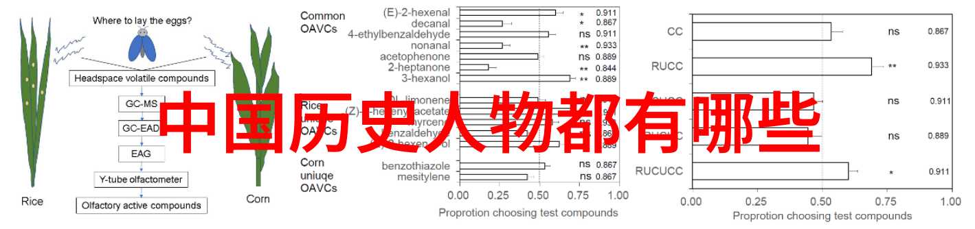 在风起云涌的革命浪潮中梁启超如何一手策划了新文化运动