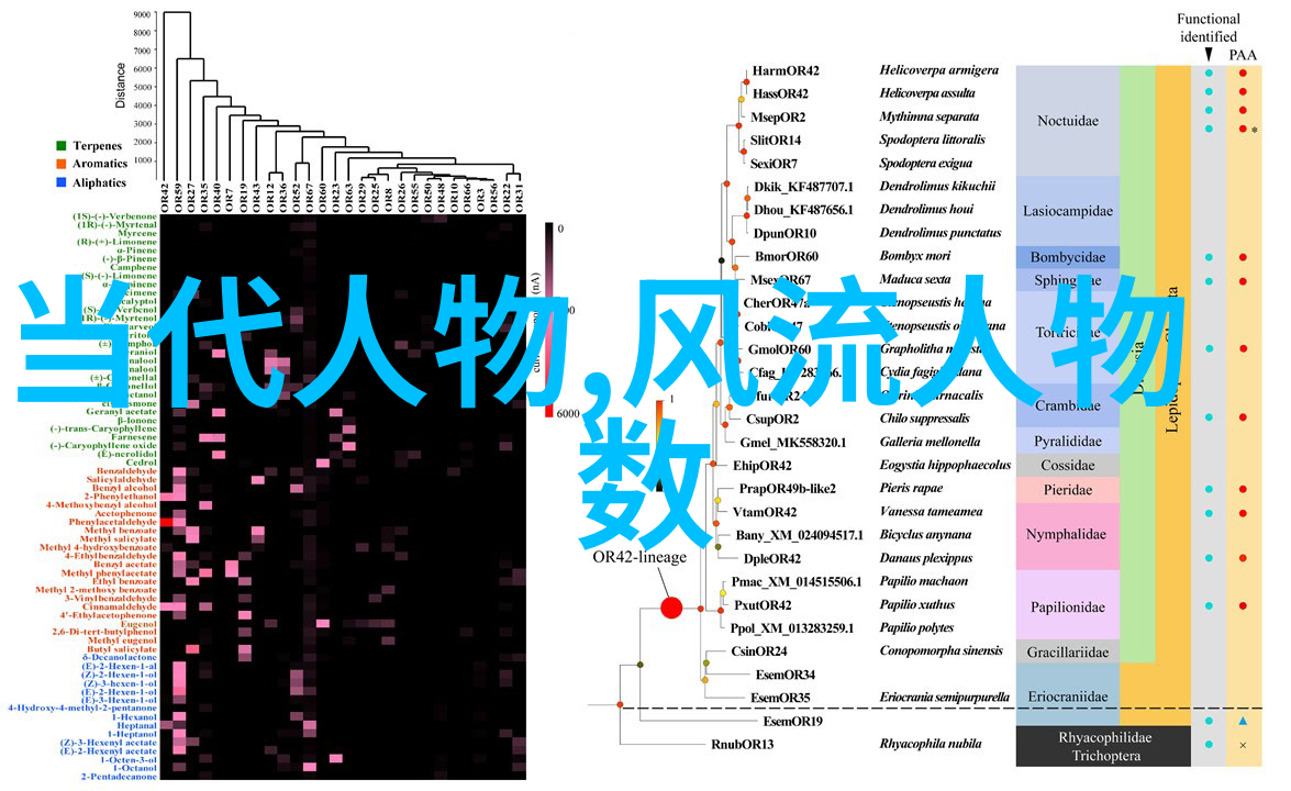 历史故事大全100篇300字我和那些古人趣味历史故事的奇妙旅程
