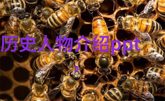 从神话到现实中国历史名人的逆袭故事