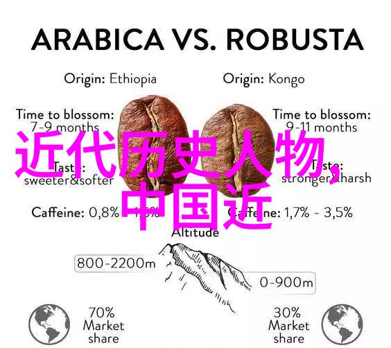 中国名人传奇揭秘那些未解之谜
