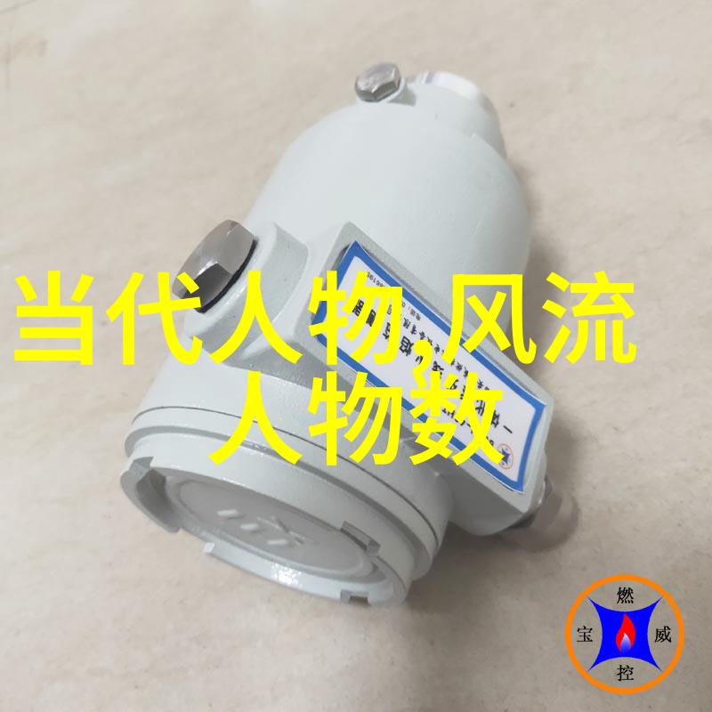 女性历史人物-穿越时光的女杰探索著名女性历史人物的传奇与成就