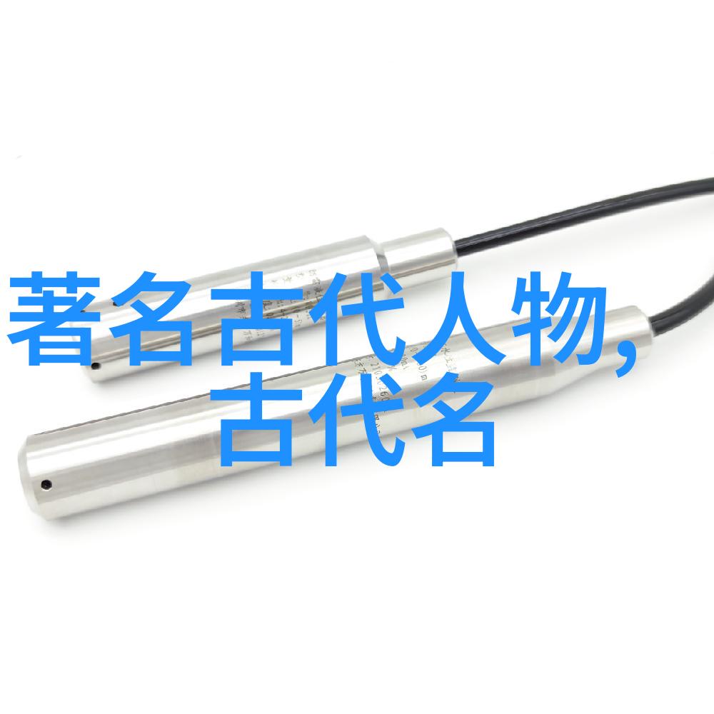 风流人物的定义是否仅限于其卓越的成就