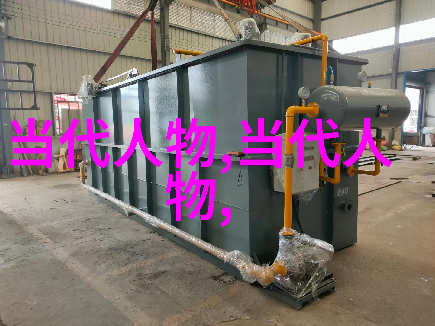 清朝四大公主文化与礼仪的传承者