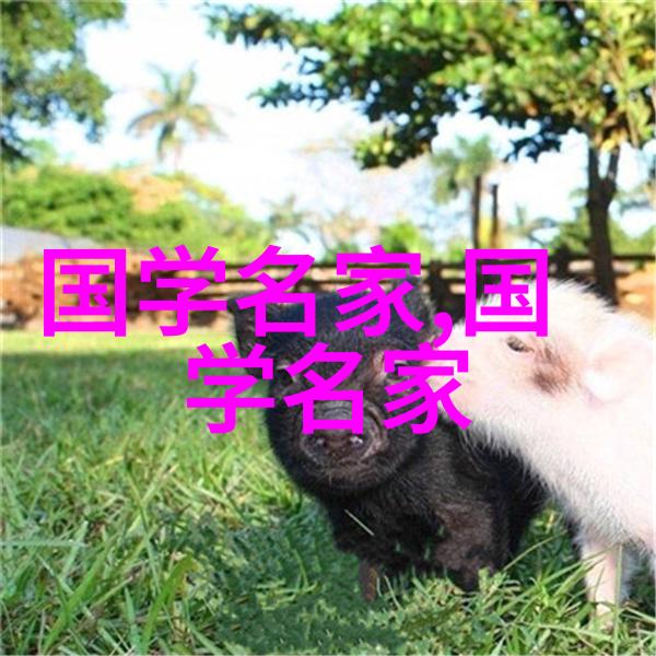 古今美丽历史四大美女的命运交响曲