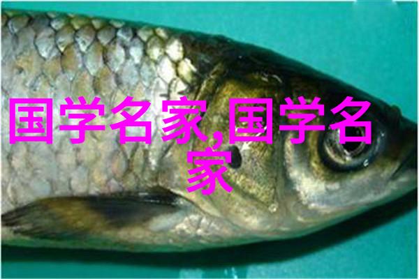 瑜伽练习激荡瑜伽的健康效益